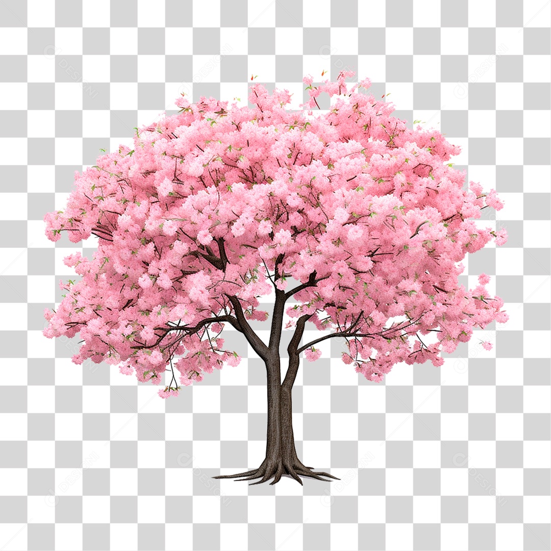 Árvore Cerejeira PNG Transparente