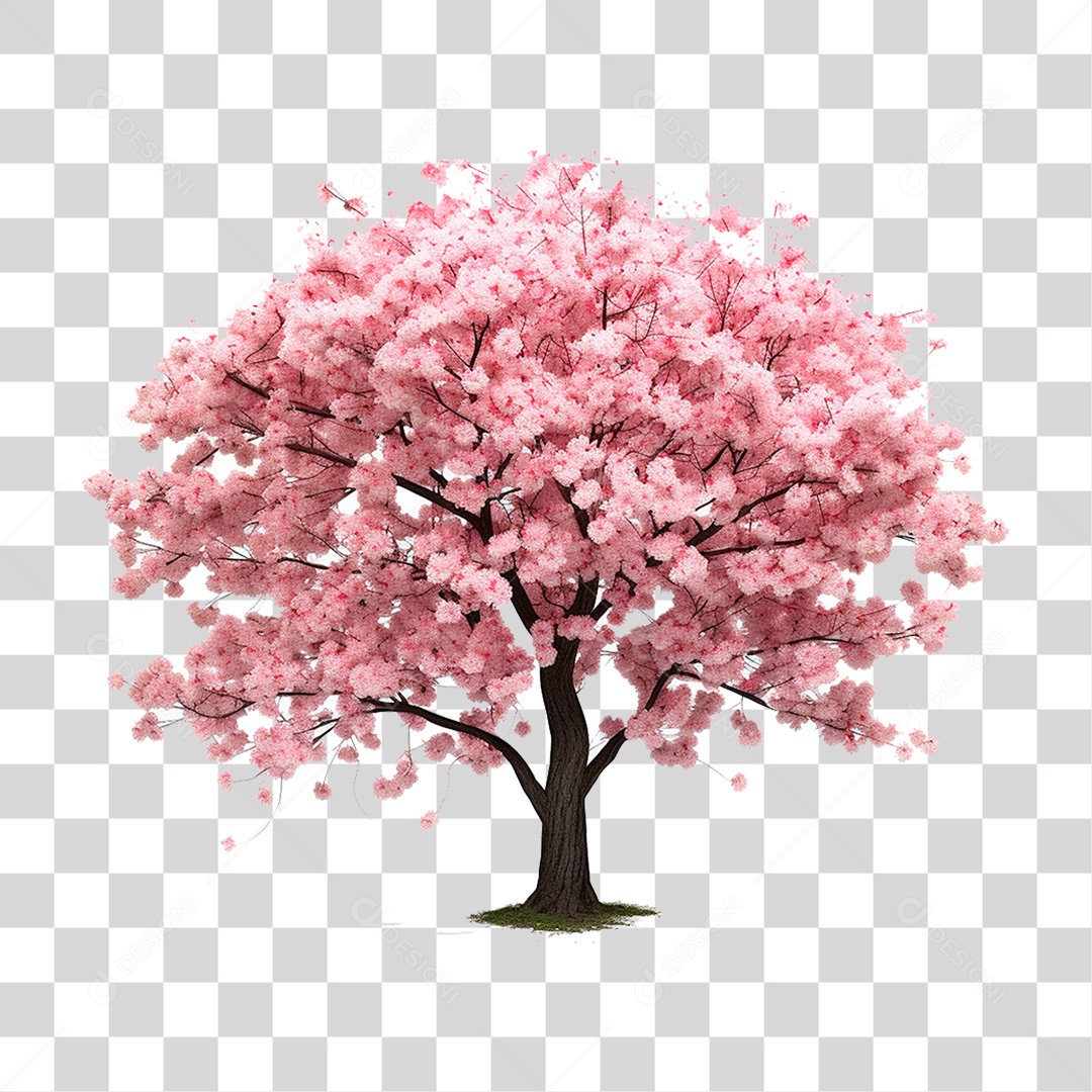 Árvore Cerejeira PNG Transparente