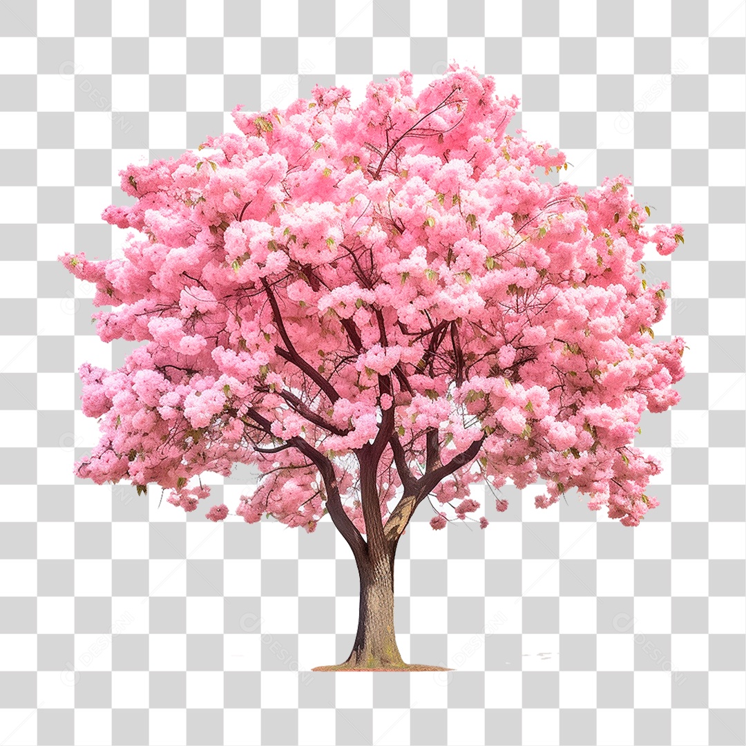 Árvore Cerejeira PNG Transparente