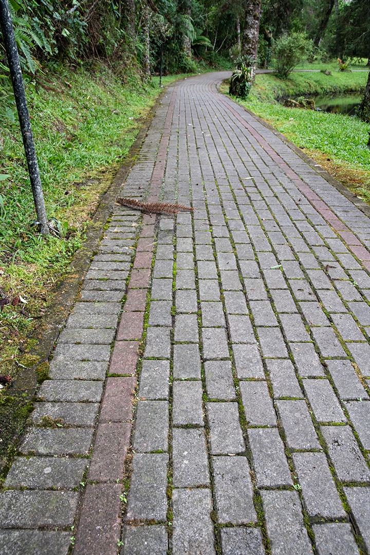 Caminho pelo jardim de um parque