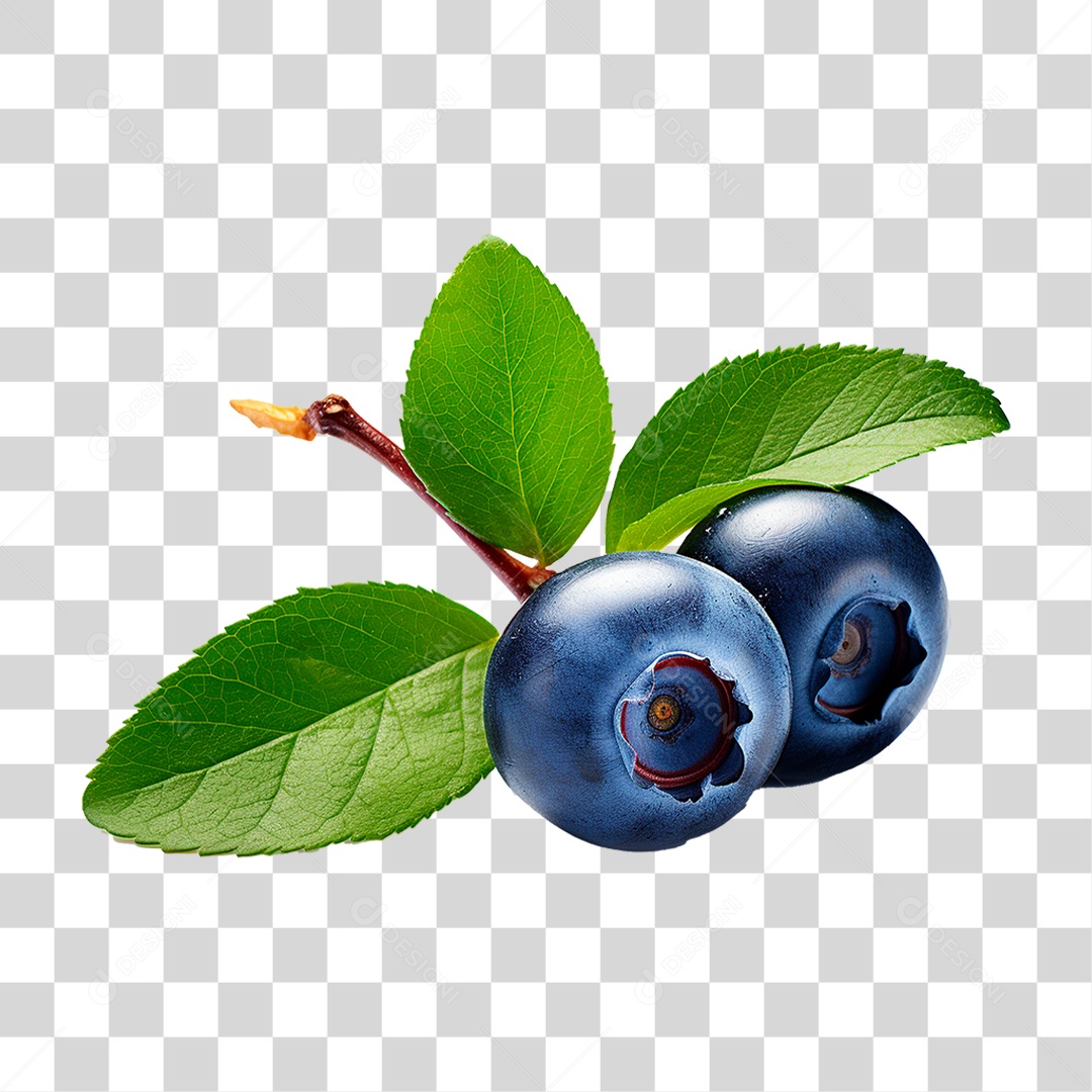 Mirtilo PNG Transparente