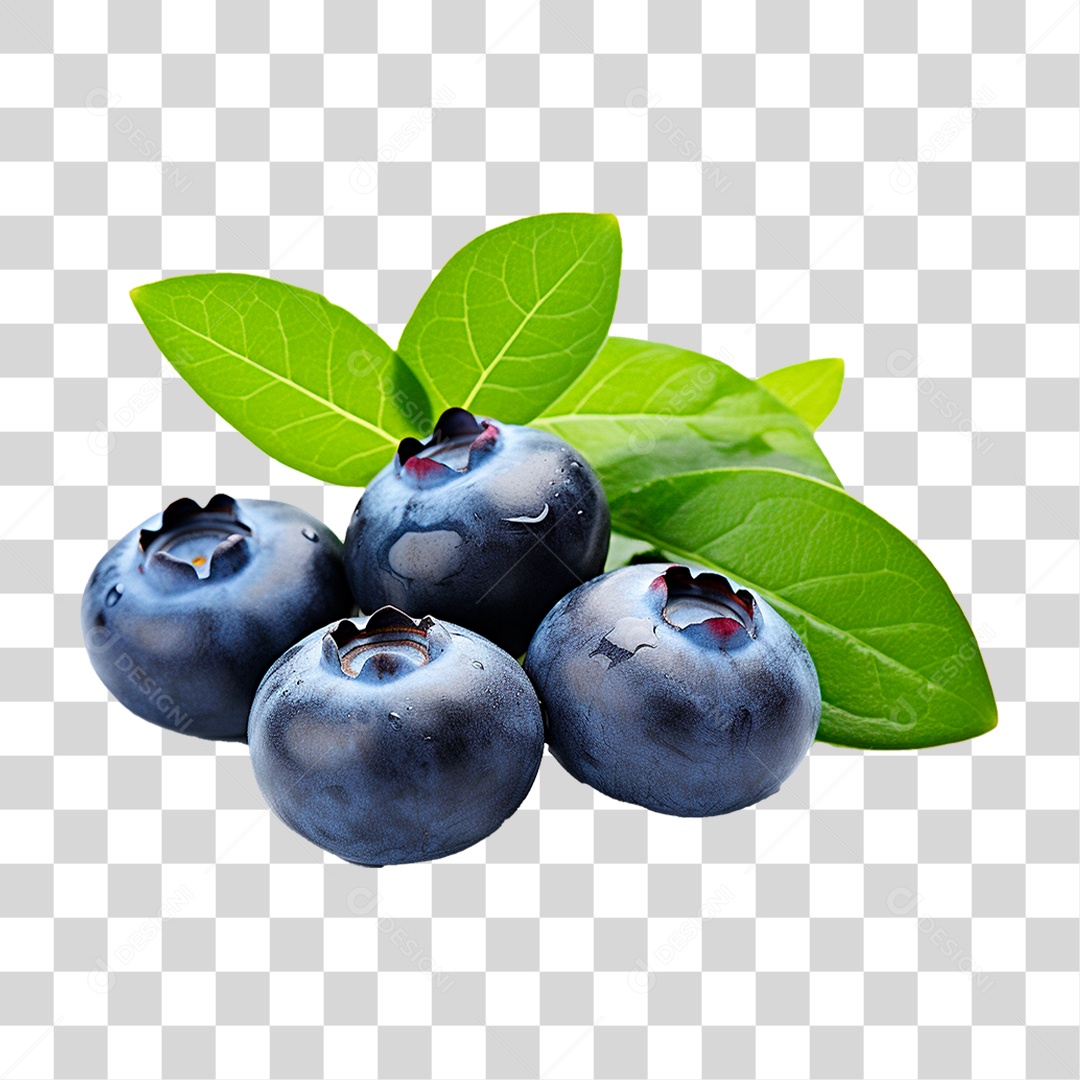 Mirtilo PNG Transparente