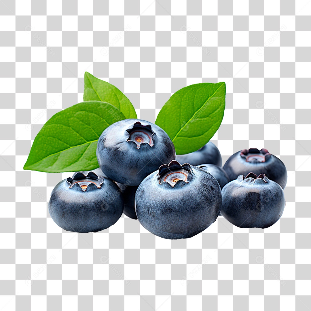 Mirtilo PNG Transparente