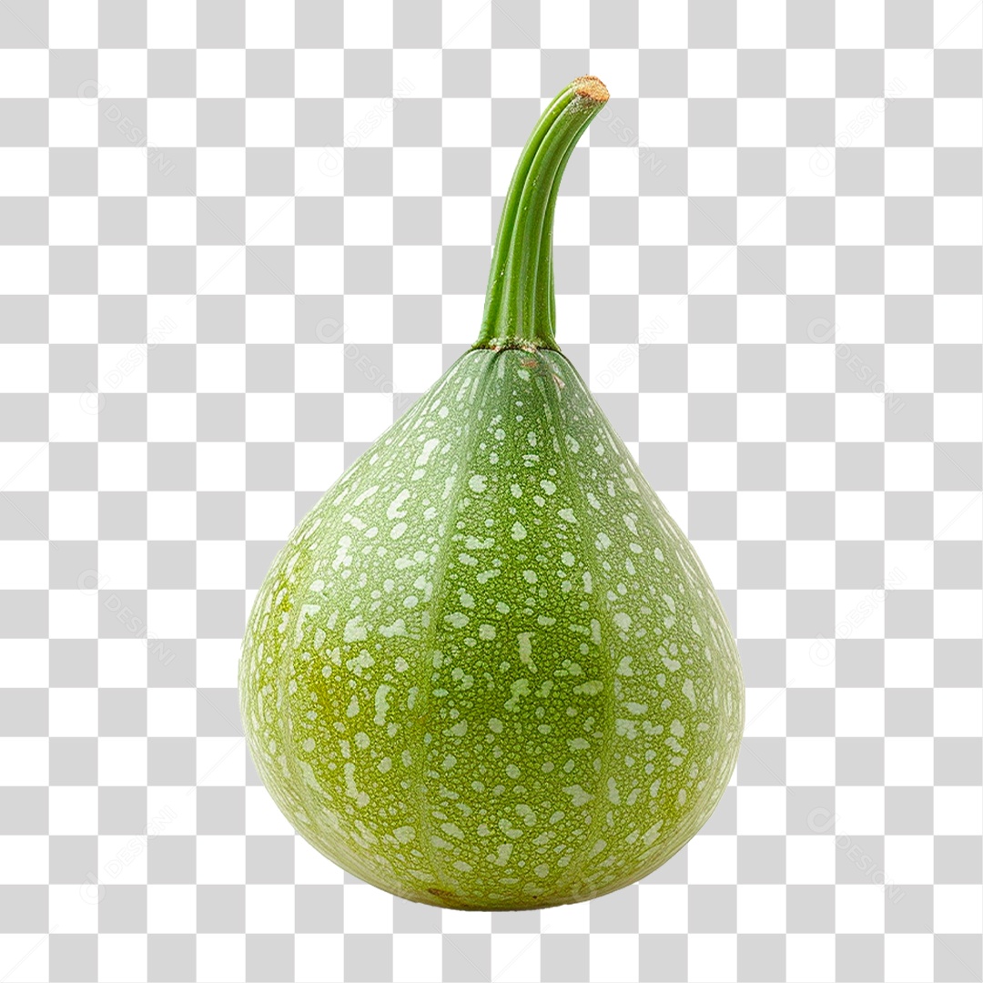 Abóbora Verde PNG Transparente
