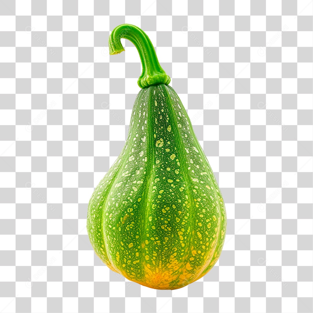 Abóbora Verde PNG Transparente