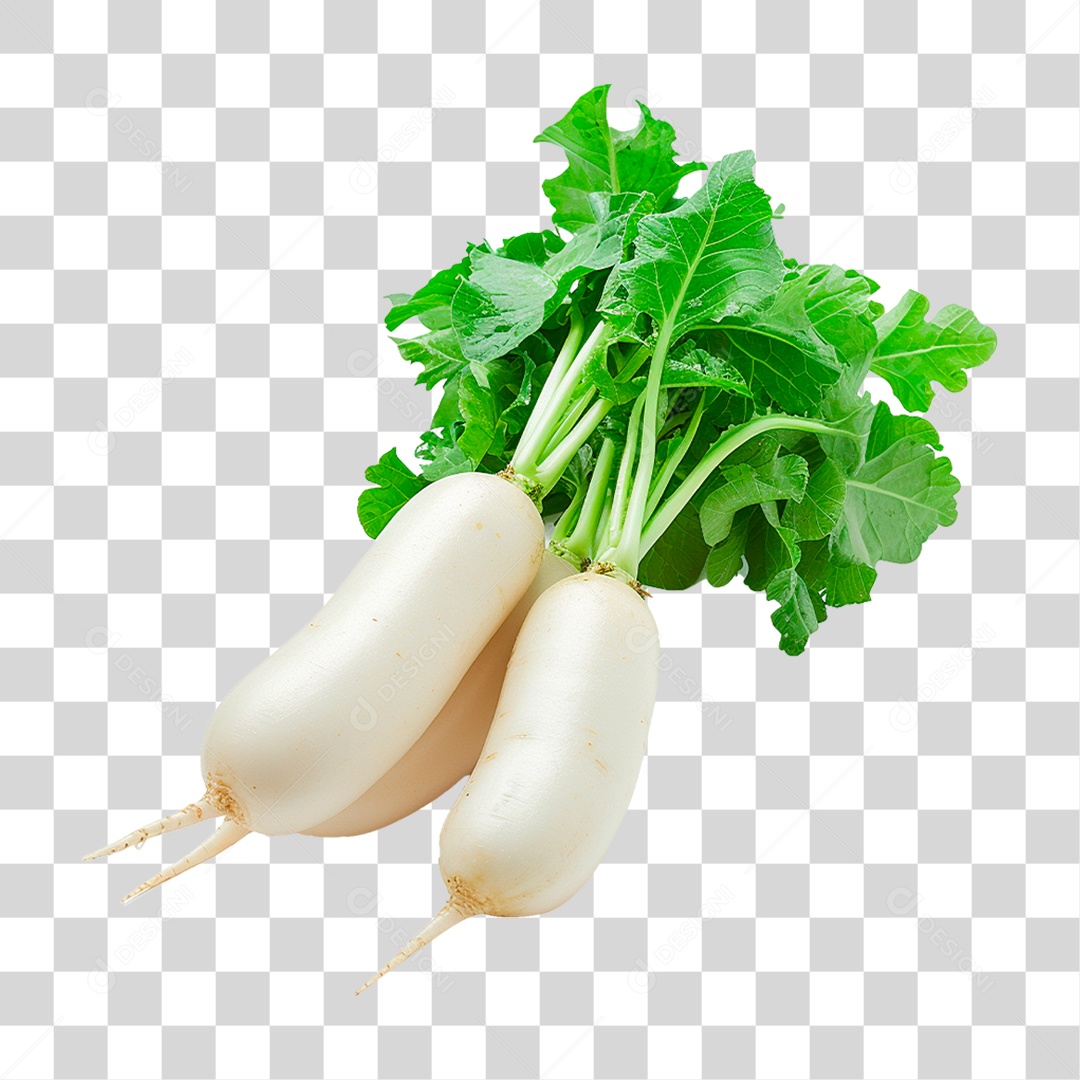 Rabanetes Frescos PNG Transparente