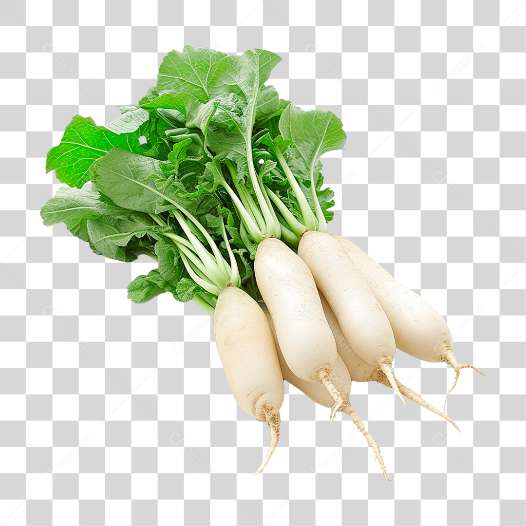 Rabanetes Frescos PNG Transparente