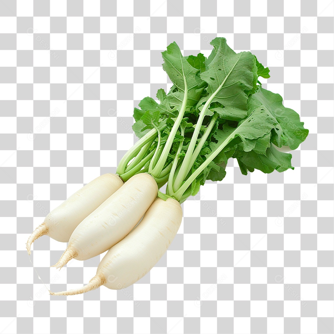 Rabanetes Frescos PNG Transparente