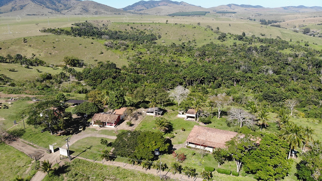 Casarões e árvores de uma fazenda linda