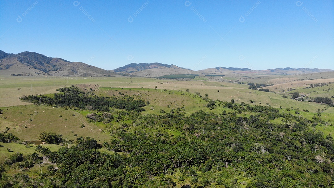 Pastos e árvores com montanhas