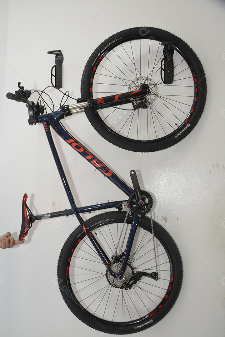 Bicicletaria com lindas bikes