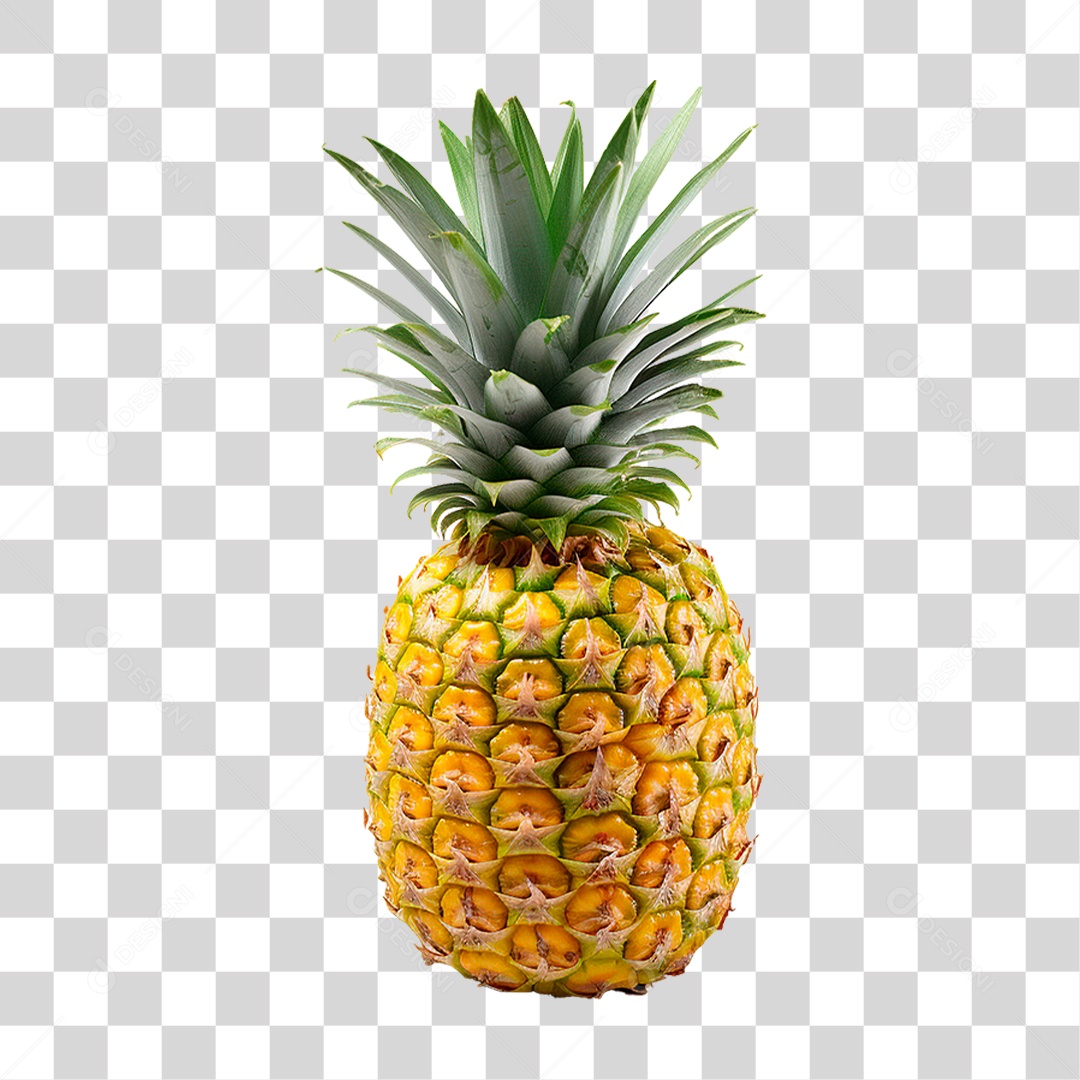 Abacaxi PNG Transparente