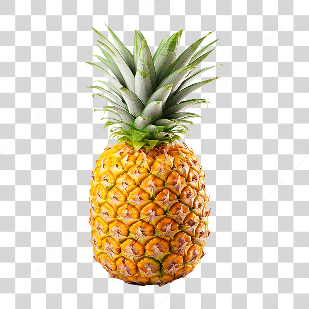 Abacaxi PNG Transparente