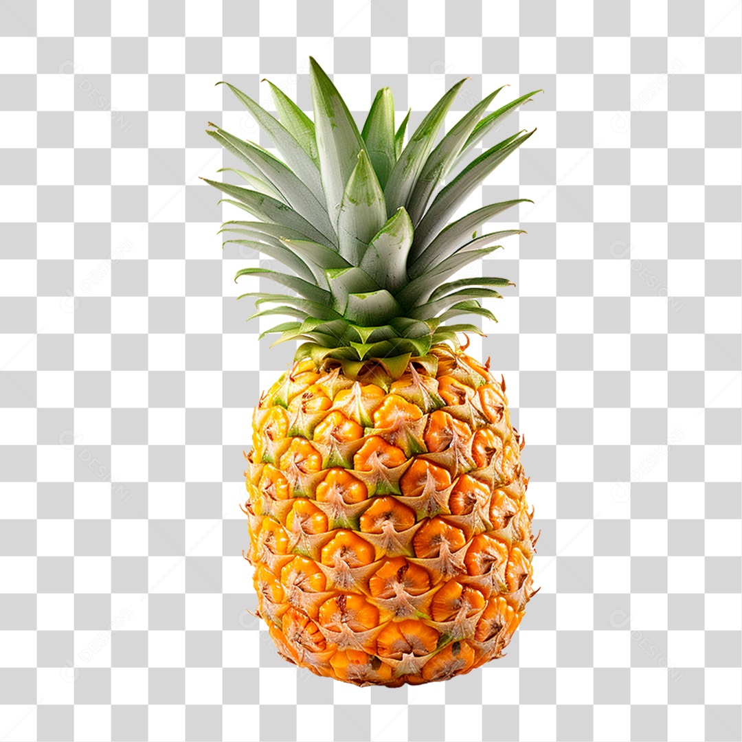 Pineapple Transparent PNG