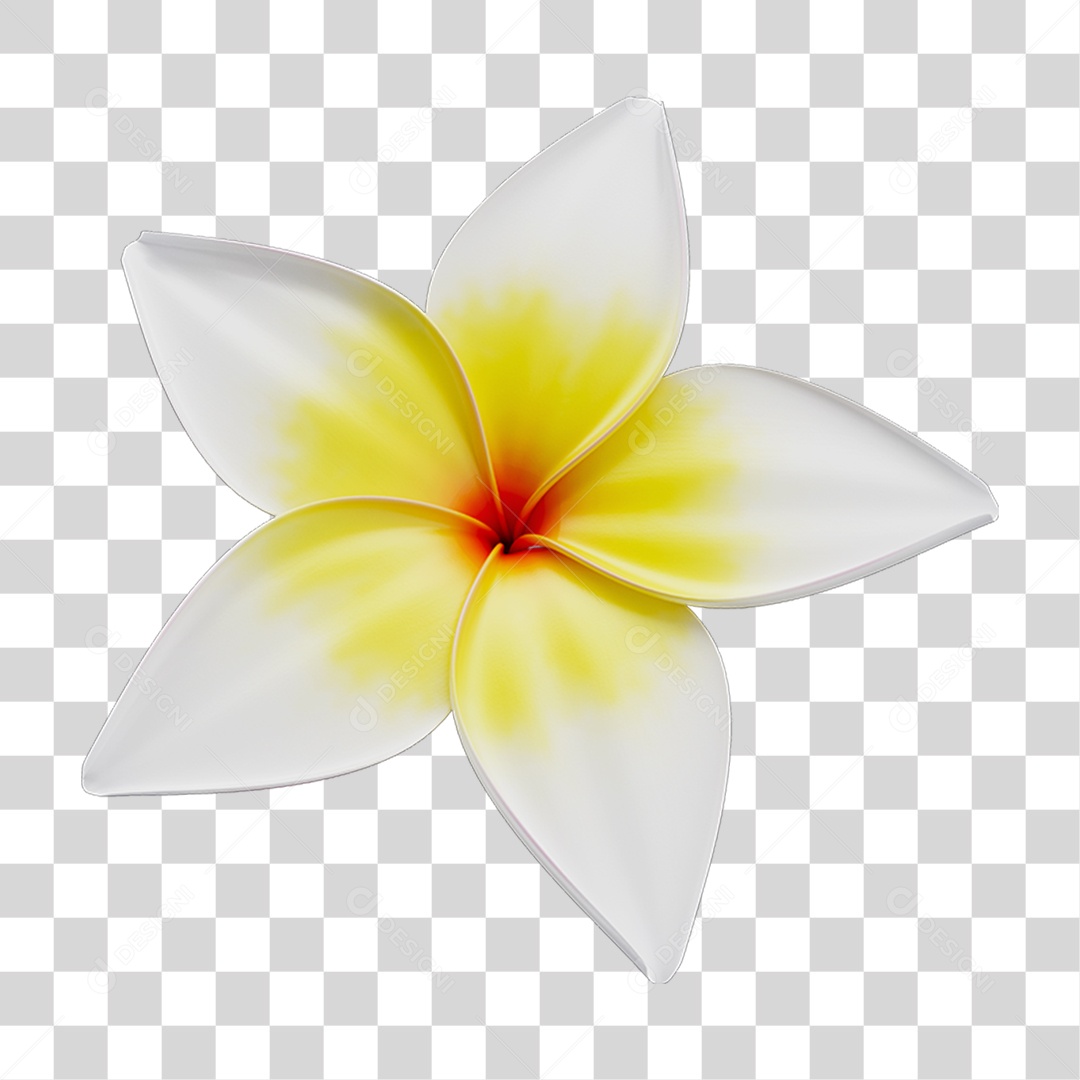 Flores Rosas Plantas PNG Transparente