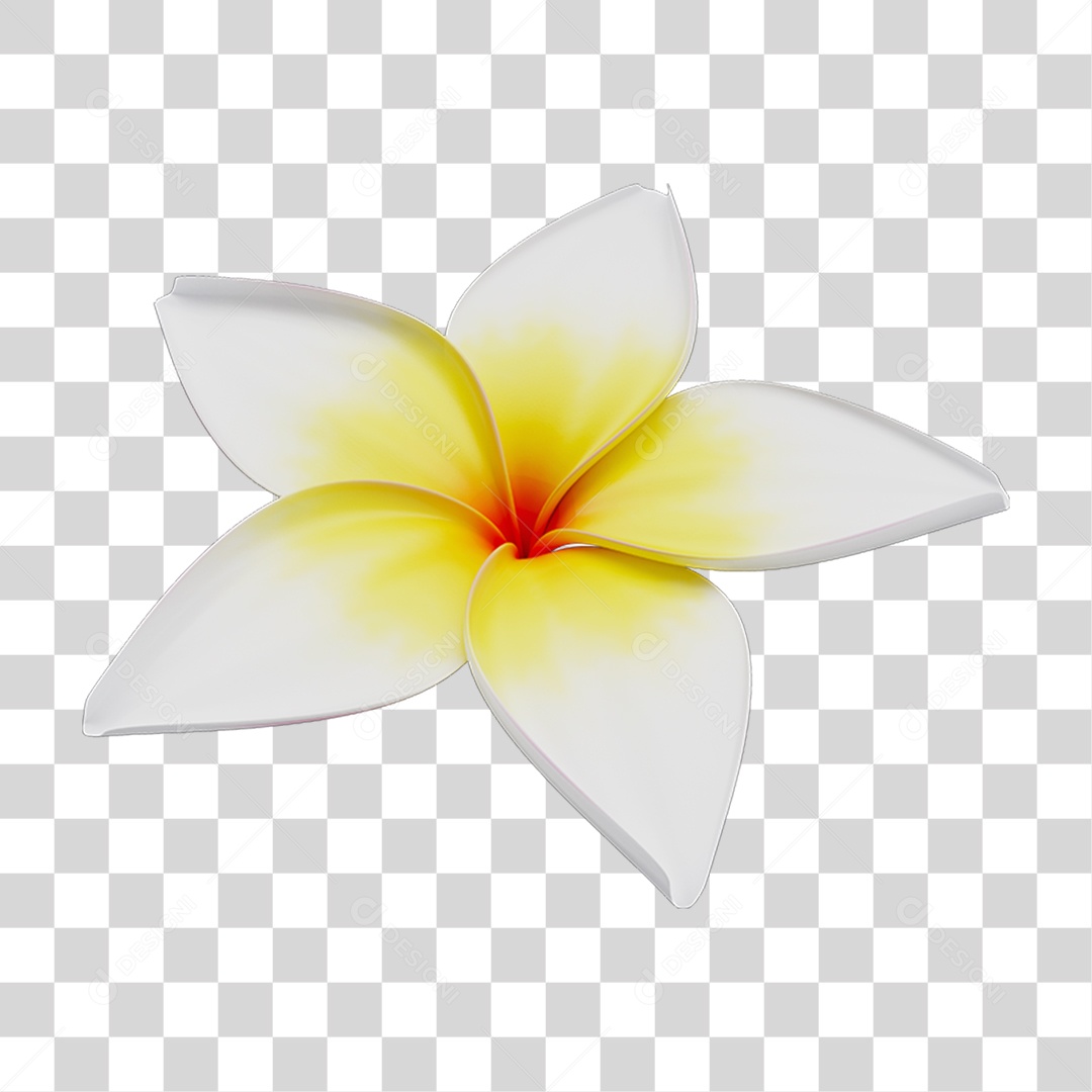 Flores Rosas Plantas PNG Transparente