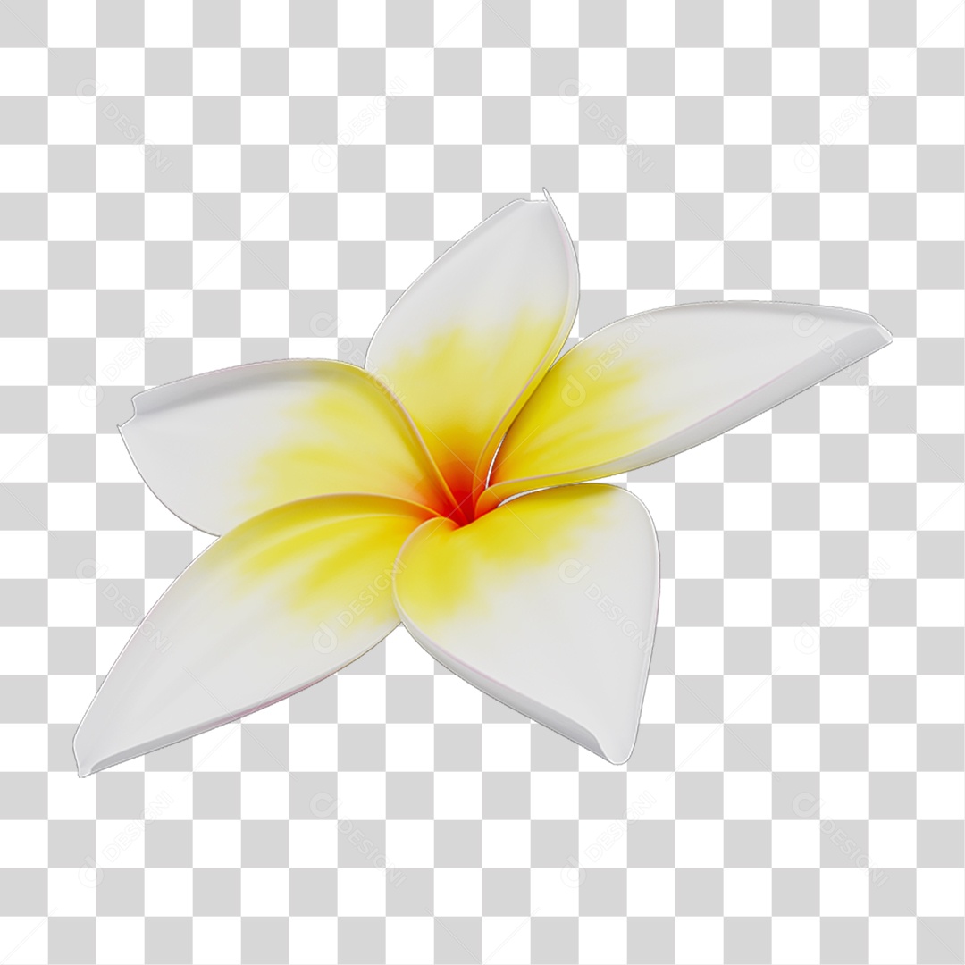 Flores Rosas Plantas PNG Transparente