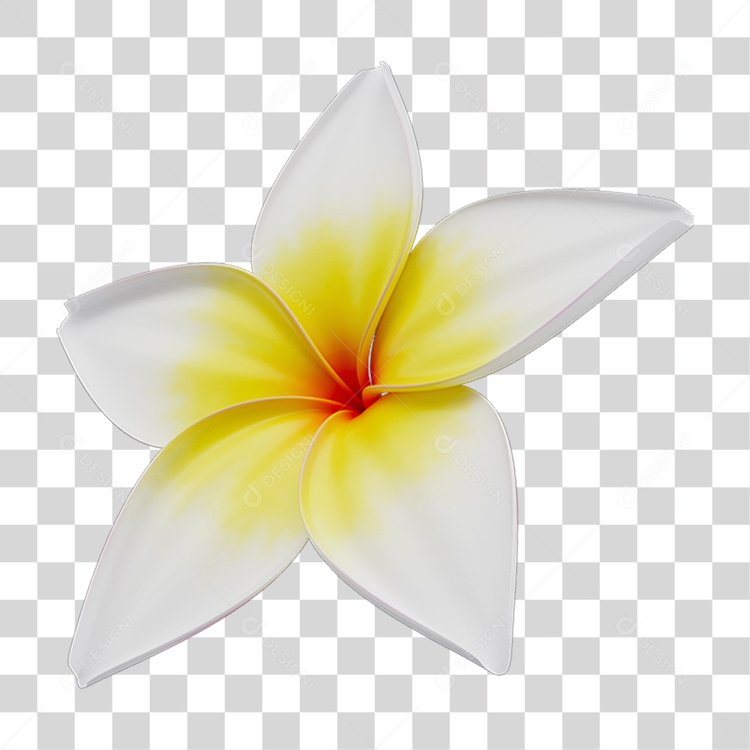 Flores Rosas Plantas PNG Transparente