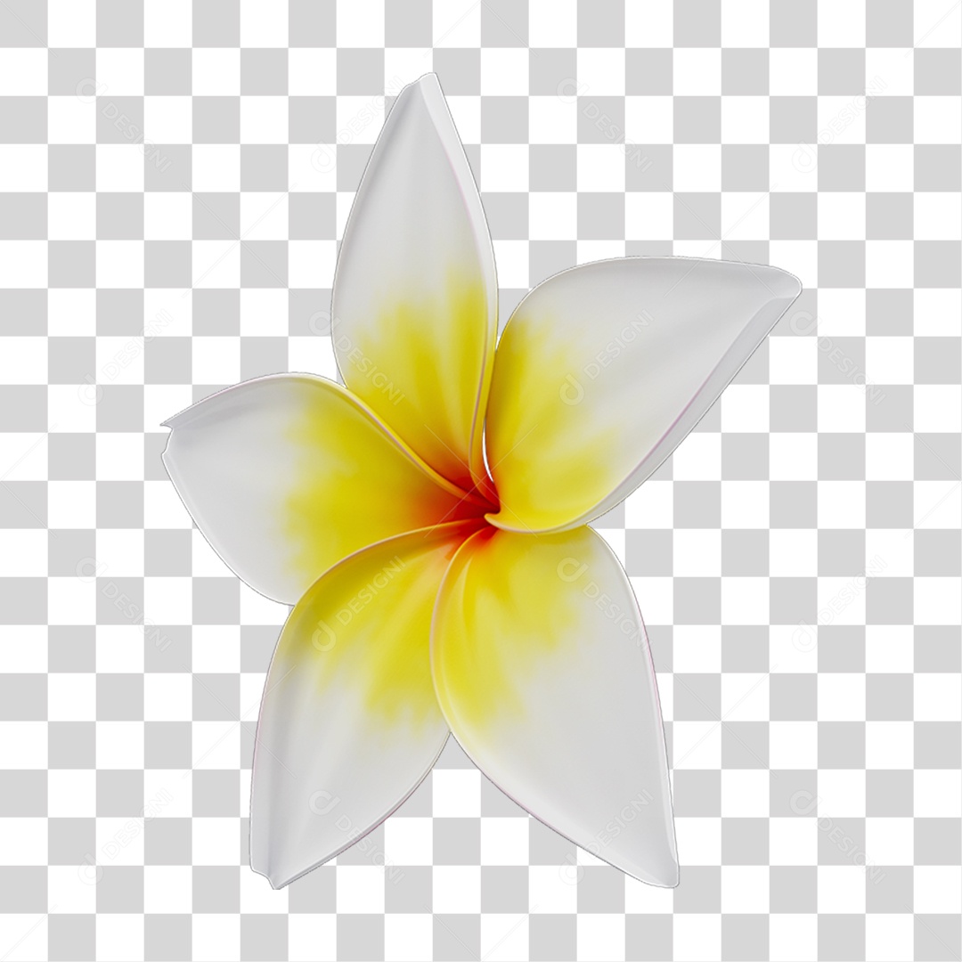 Flores Rosas Plantas PNG Transparente