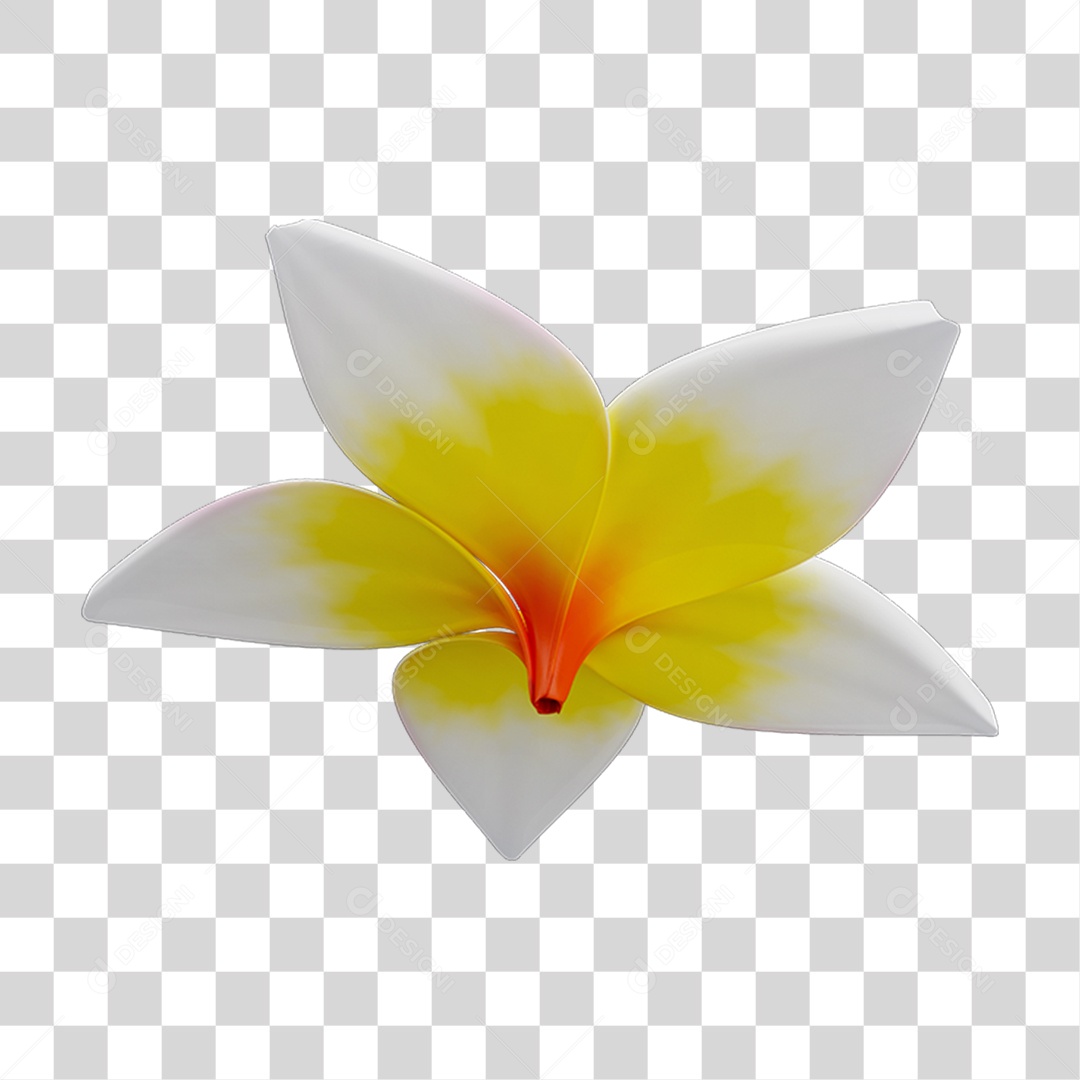 Flores Rosas Plantas PNG Transparente