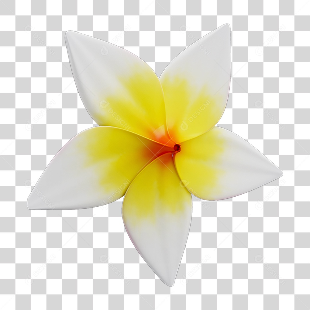 Flores Rosas Plantas PNG Transparente