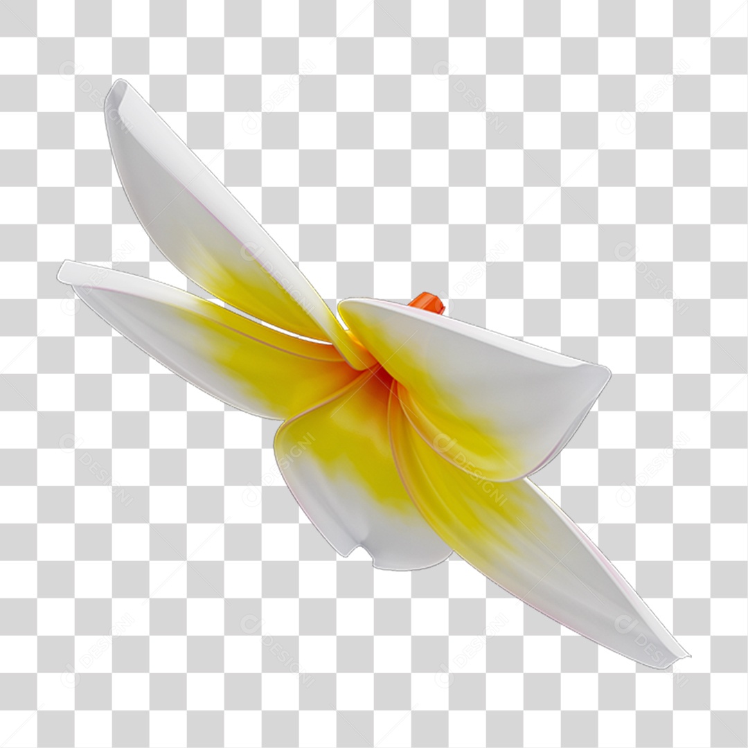 Flores Rosas Plantas PNG Transparente