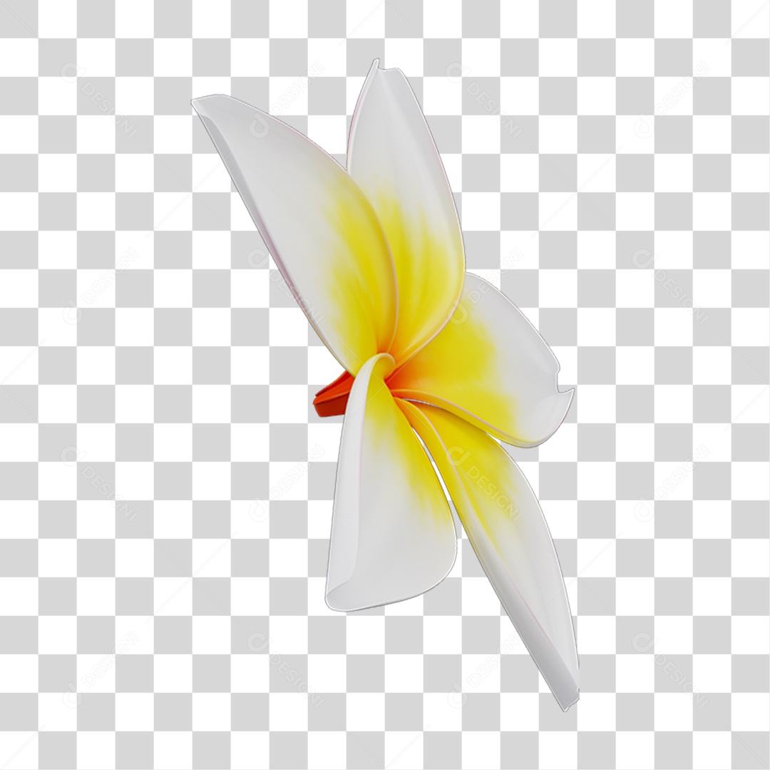 Flores Rosas Plantas PNG Transparente