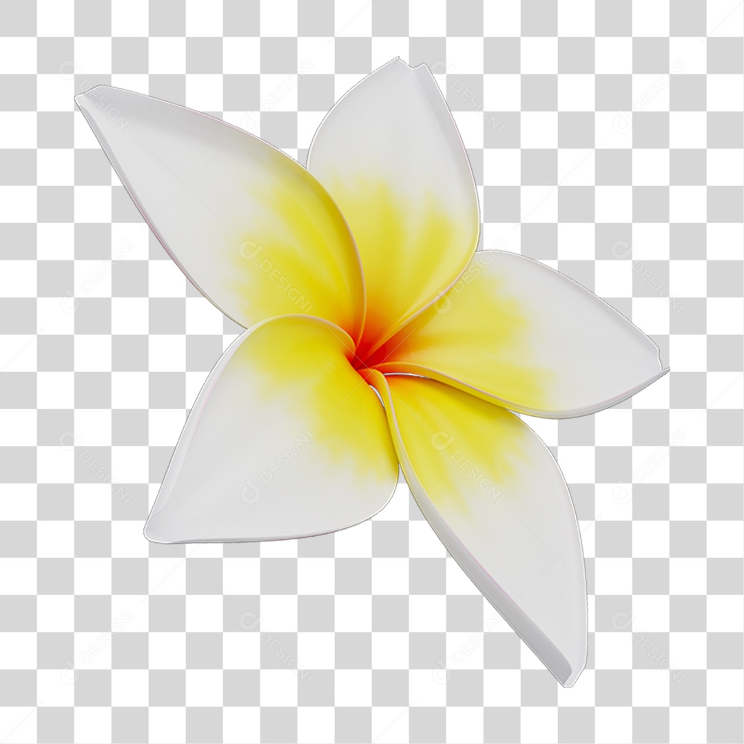 Flores Rosas Plantas PNG Transparente