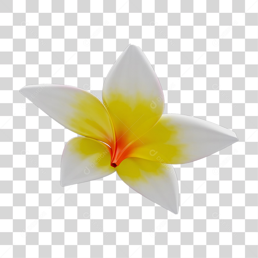 Flores Rosas Plantas PNG Transparente