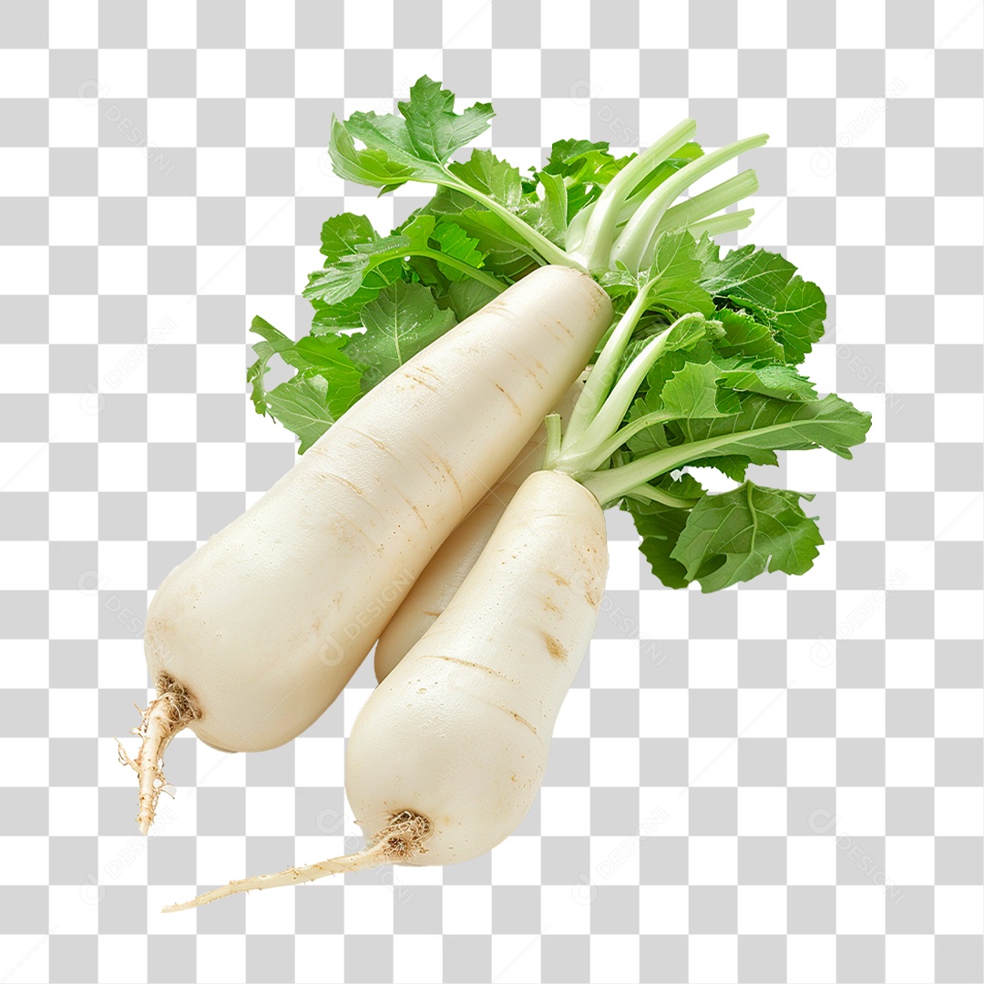 Rabanetes Frescos PNG Transparente