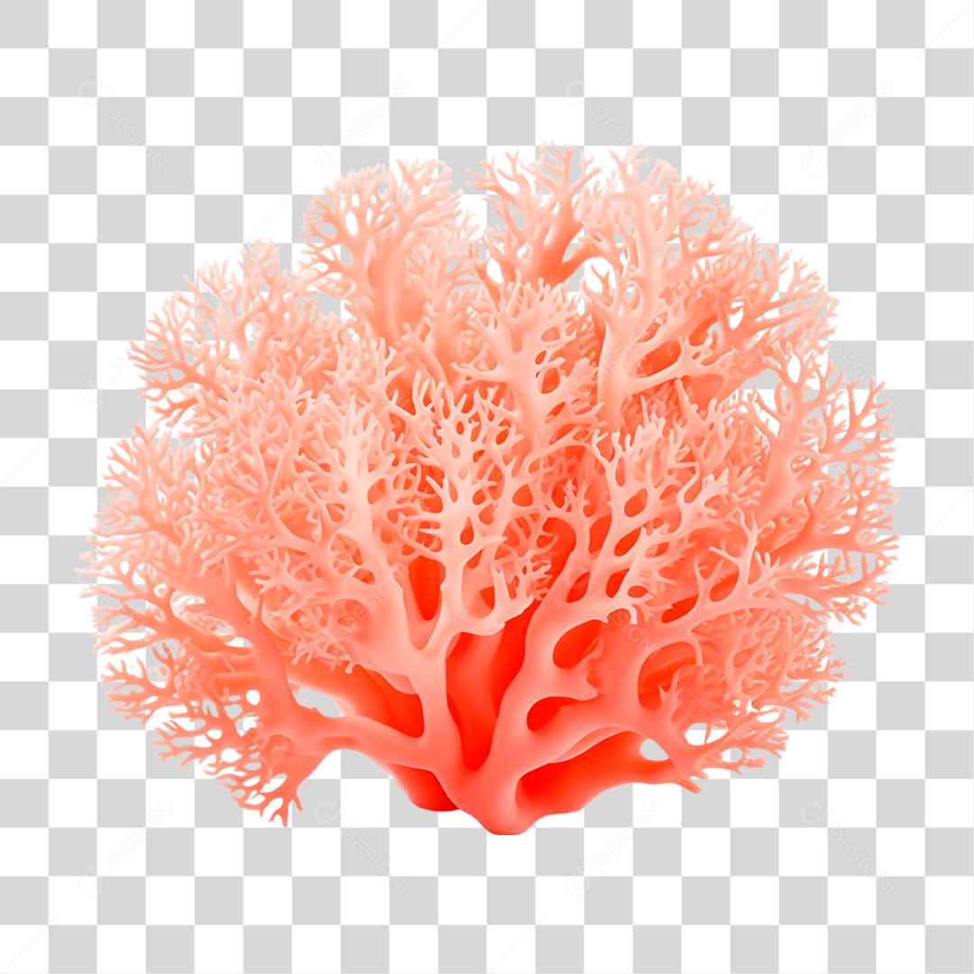 Coral Alcyonacea PNG Transparente