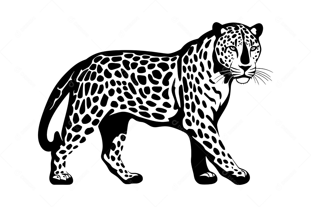 Jaguar Desenho Vetor EPS