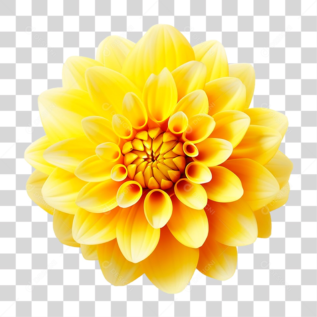 Flor Amarela PNG Transparente
