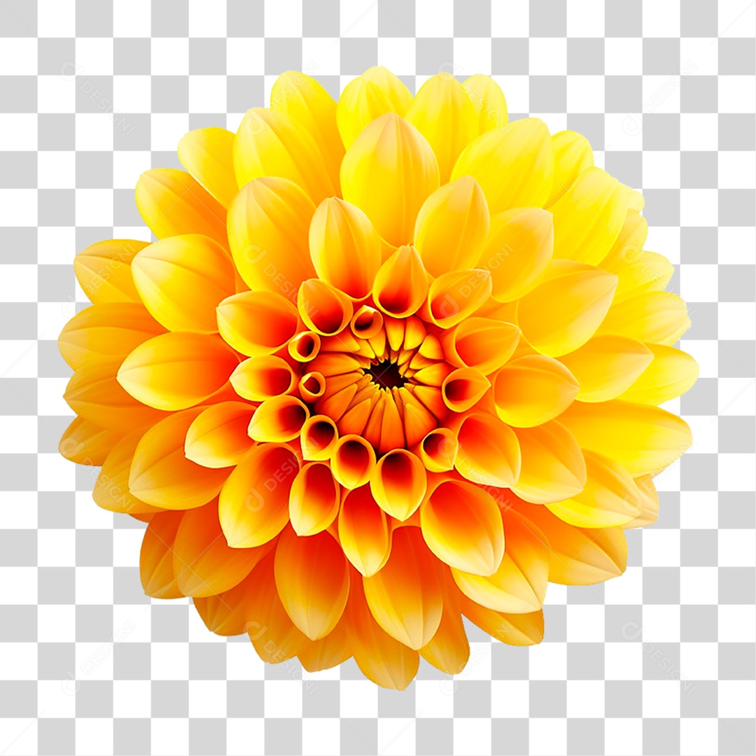 Flor Amarela PNG Transparente