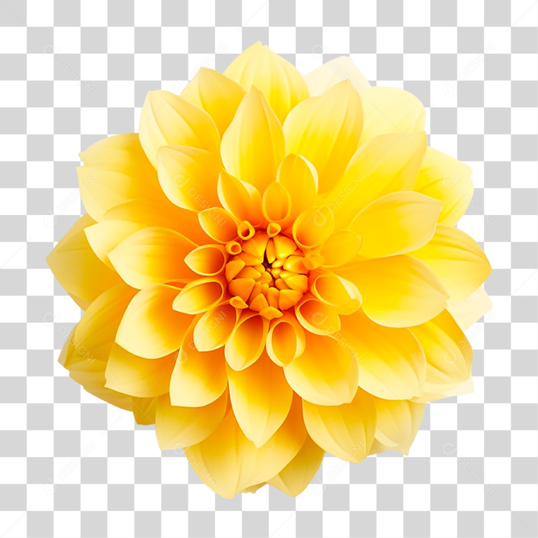 Flor Amarela PNG Transparente