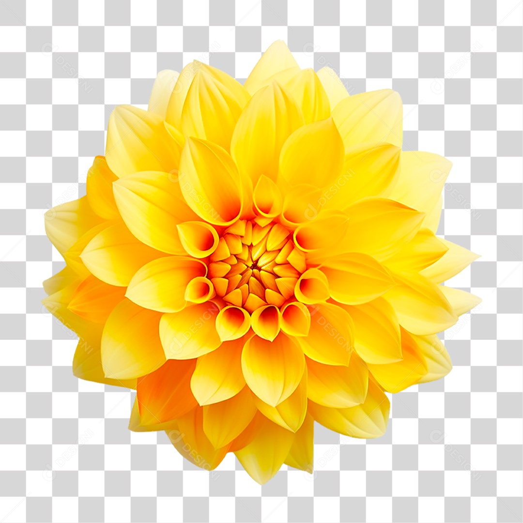 Flor Amarela PNG Transparente