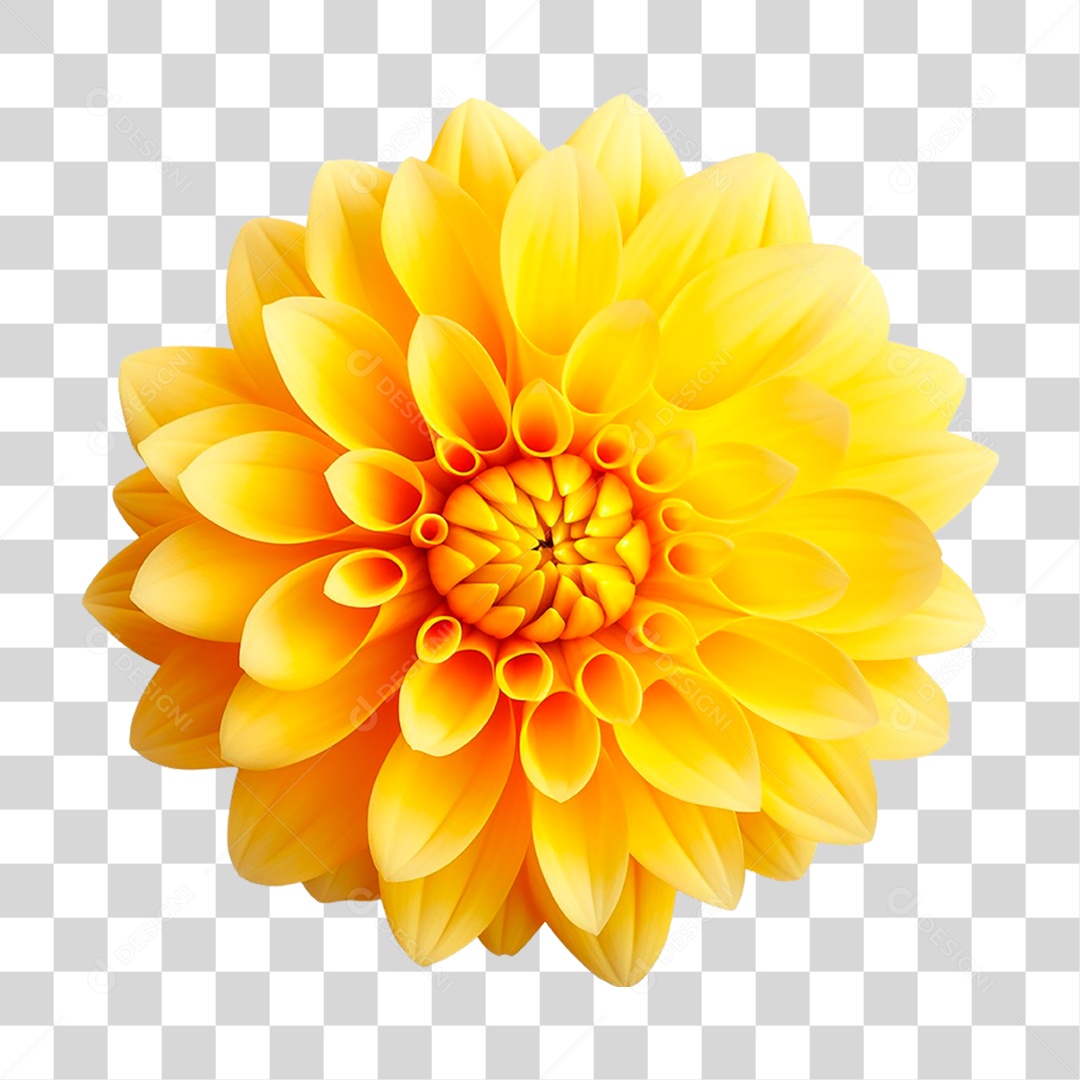 Flor Amarela PNG Transparente