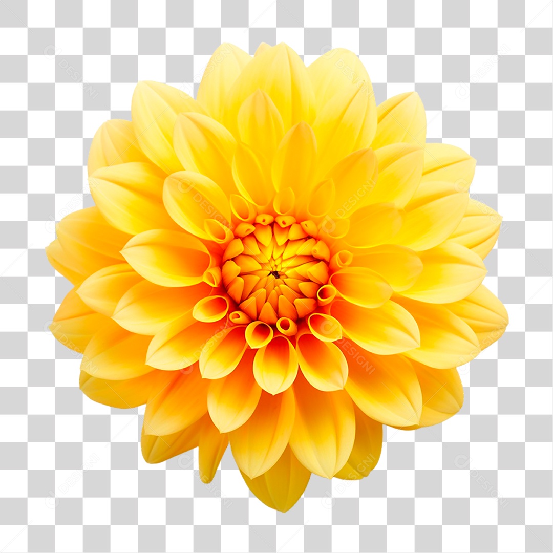 Flor Amarela PNG Transparente