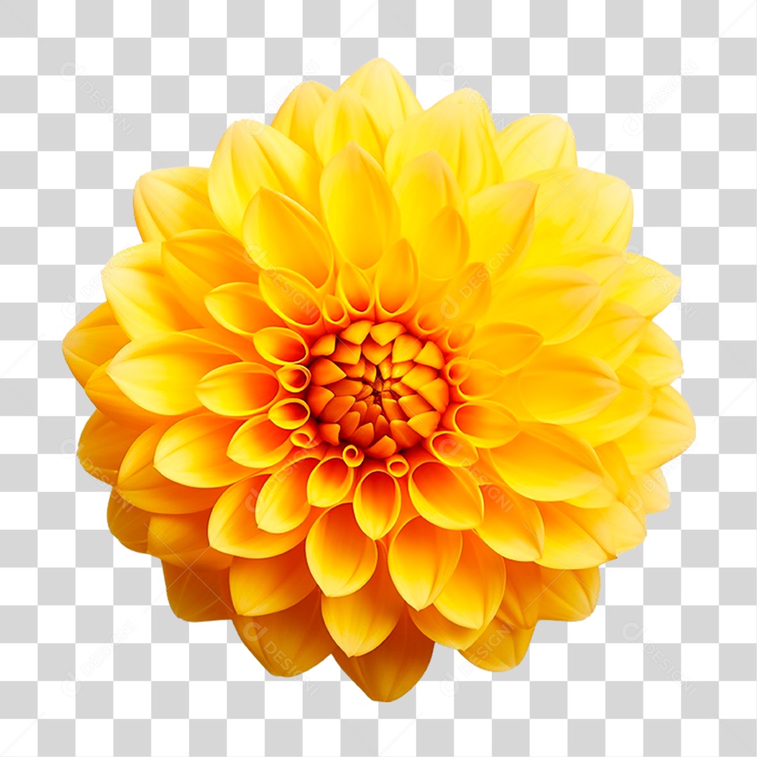 Flor Amarela PNG Transparente