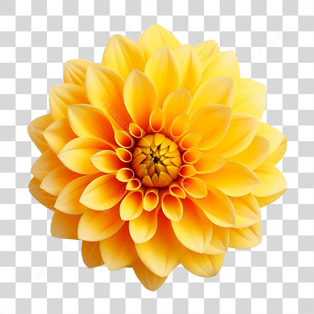 Flor Amarela PNG Transparente