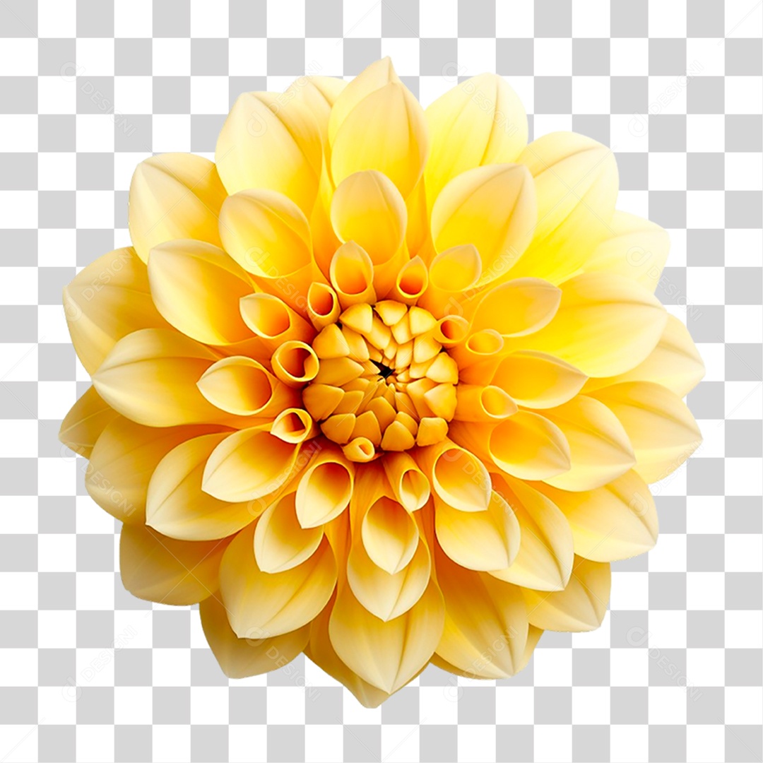 Flor Amarela PNG Transparente