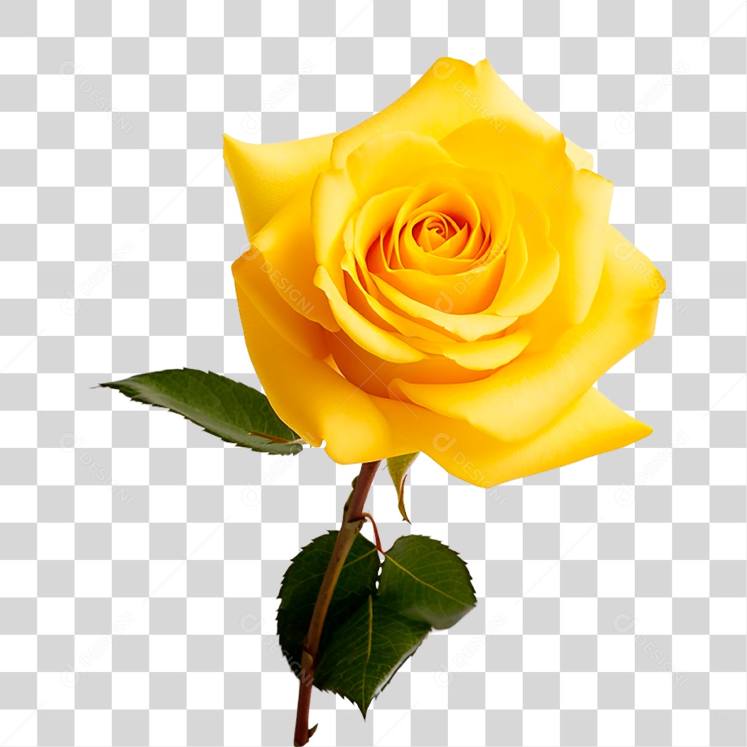 Rosa Amarela PNG Transparente