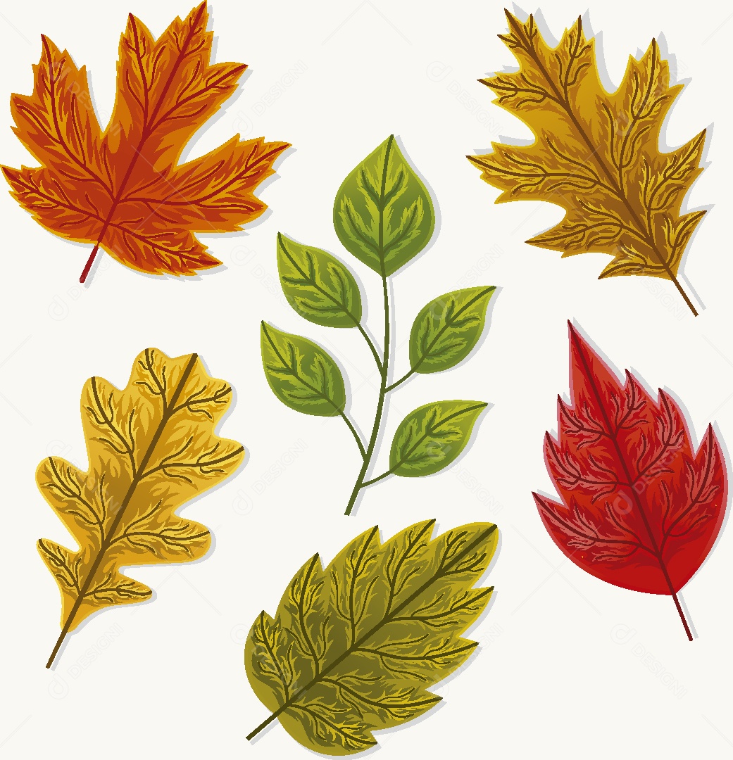 Folhas do Outono Ilustração Vetor EPS