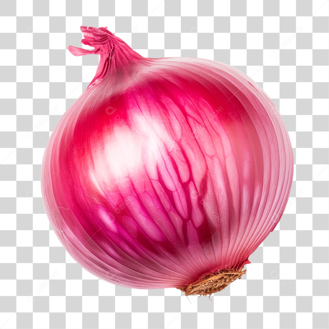 Cebola Roxa PNG Transparente