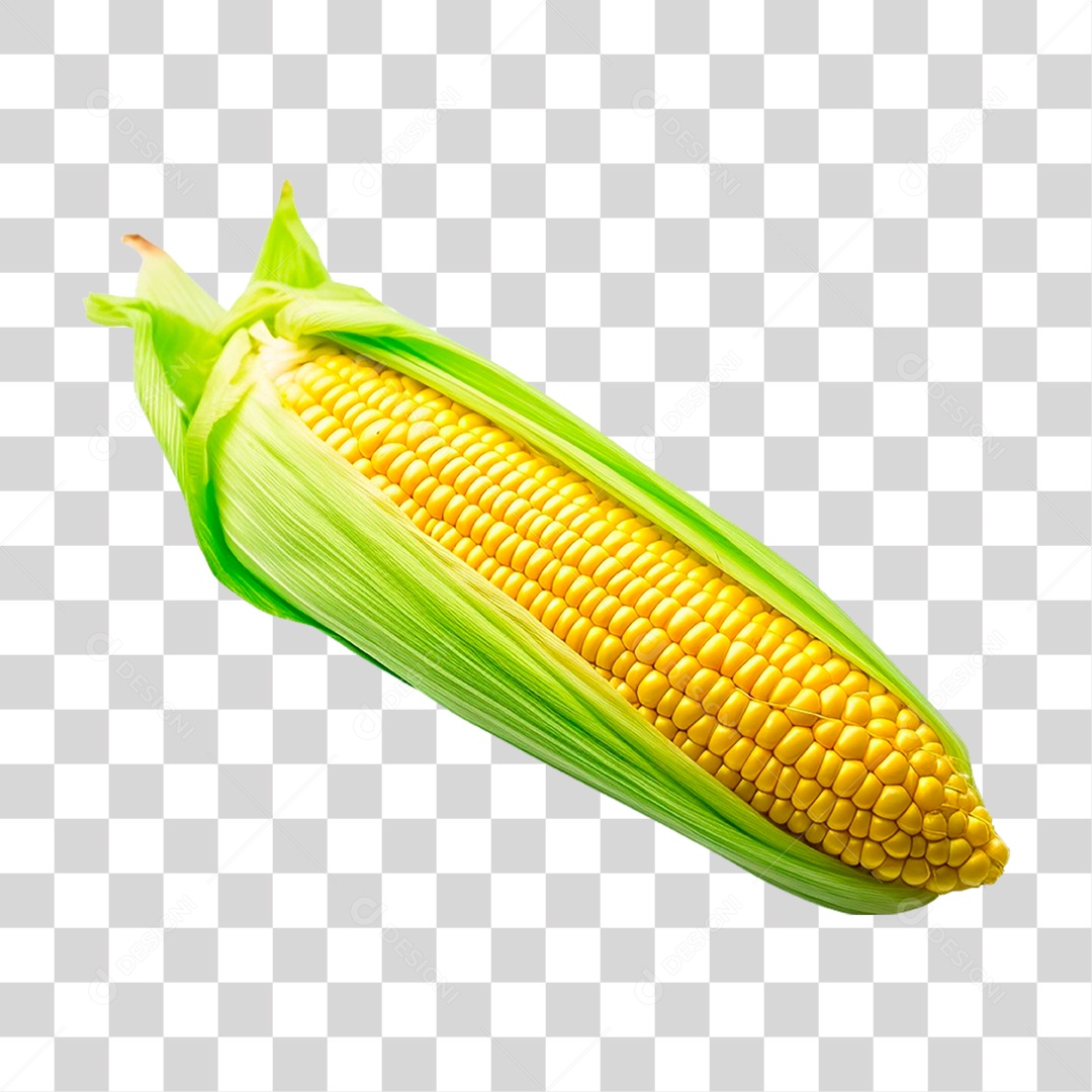 Espiga de Milho Verde PNG Transparente