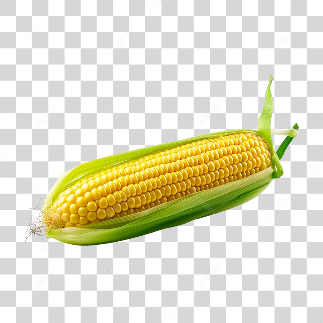 Espiga de Milho PNG Transparente