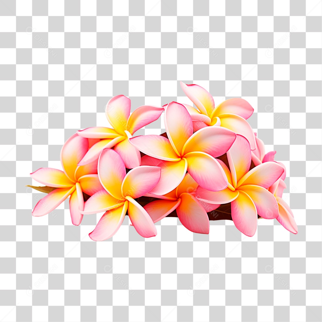 Flores de Jasmim Manga PNG Transparente