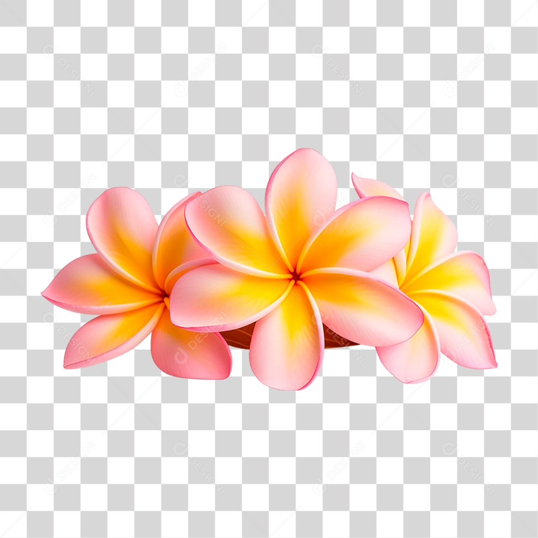 Flores de Jasmim Manga PNG Transparente