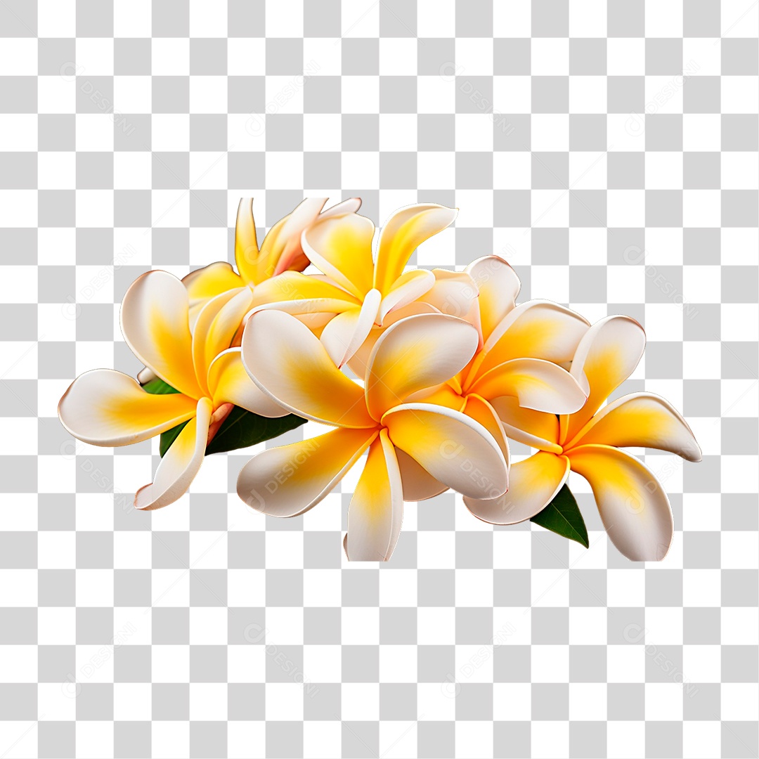 Flores de Jasmim Manga PNG Transparente