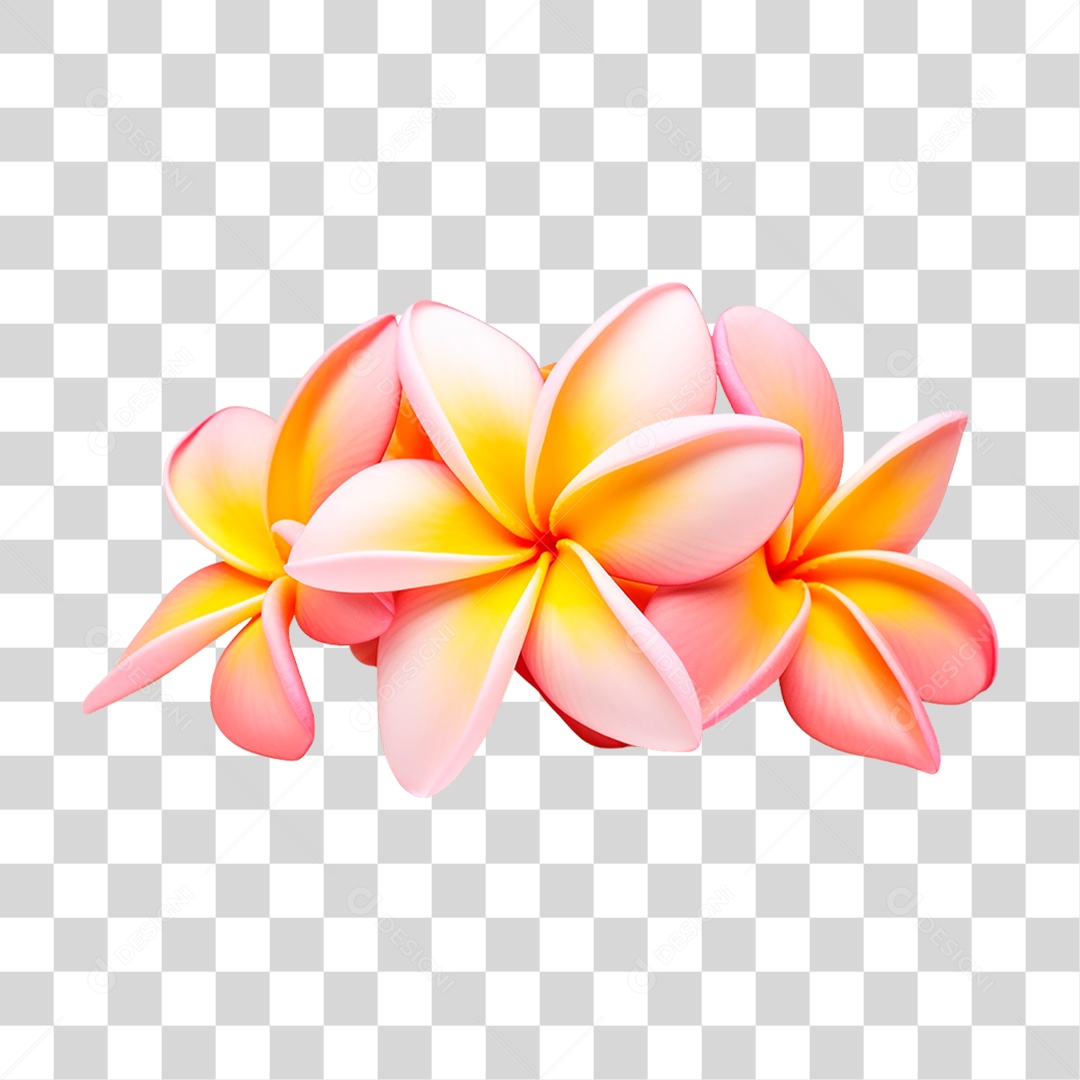 Flores de Jasmim Manga PNG Transparente